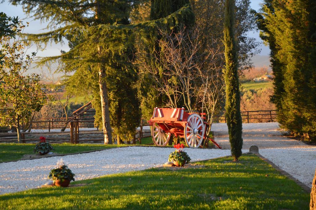 Farm stay La Collina Pitigliano
